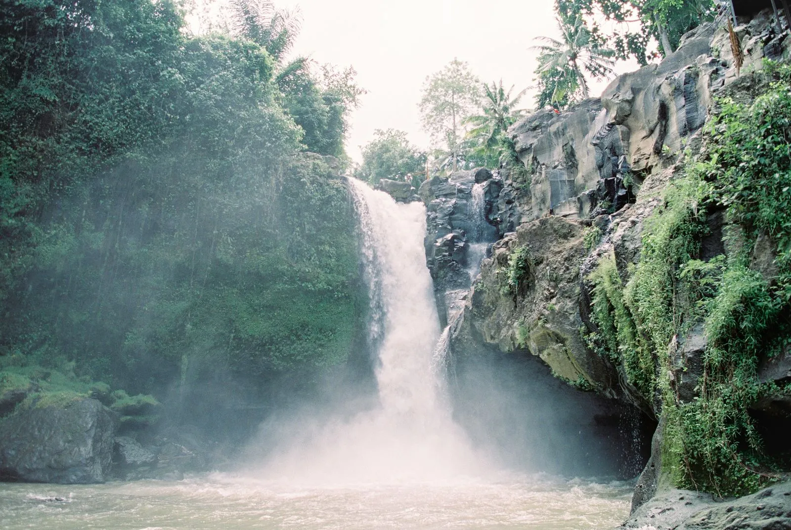 A waterfall running hard into a pool in dense jungle