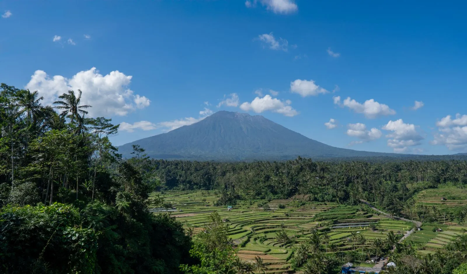 A green rice-field valley in east Bali with Mount Agung behind